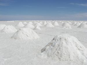Salt mounds
